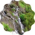 pachmari